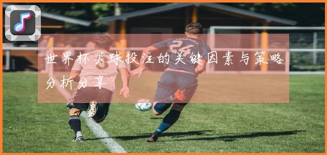 世界杯买球投注的关键因素与策略分析分享