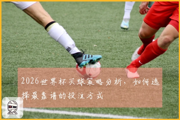 2026世界杯买球策略分析，如何选择最靠谱的投注方式