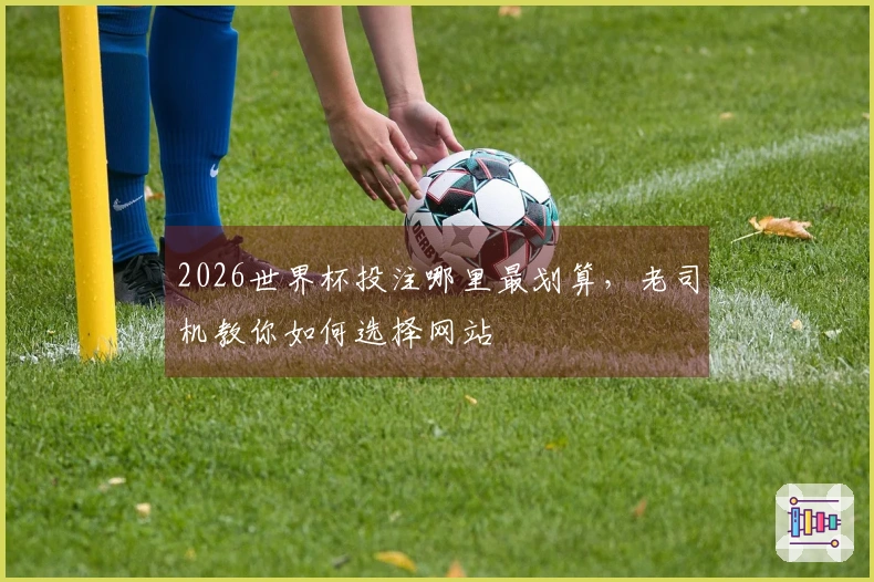 2026世界杯投注哪里最划算，老司机教你如何选择网站