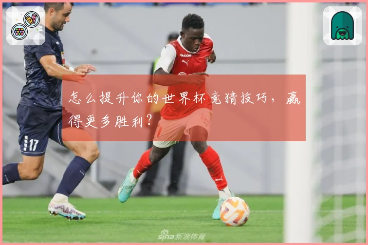 怎么提升你的世界杯竞猜技巧，赢得更多胜利？
