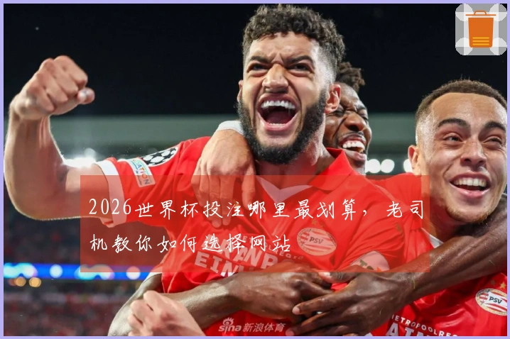 2026世界杯投注哪里最划算，老司机教你如何选择网站