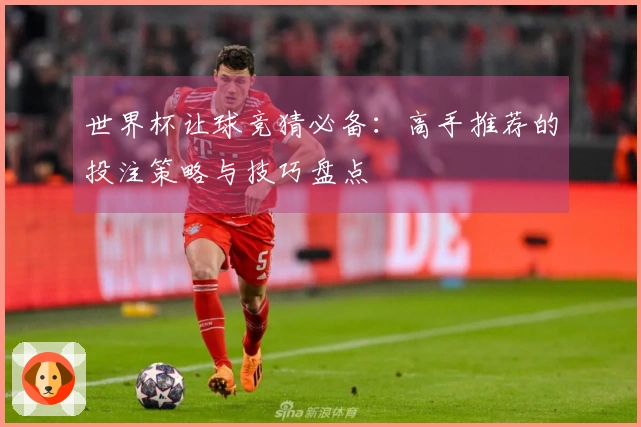 世界杯让球竞猜必备：高手推荐的投注策略与技巧盘点