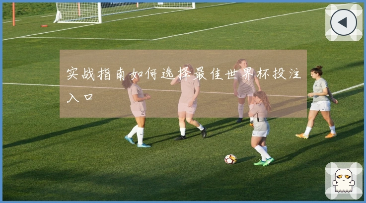 实战指南如何选择最佳世界杯投注入口